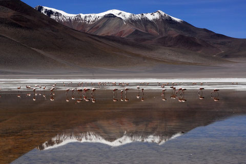 individuelles Reisen in Bolivien